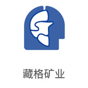 必一运动合作伙伴：藏格矿业